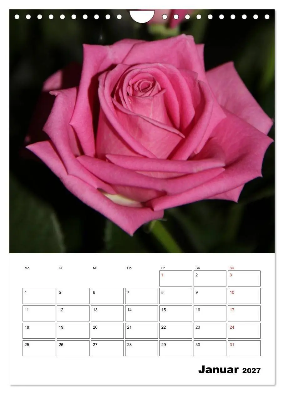 Bild: 9783569957978 | Zauberhafte Rosen (Wandkalender 2027 DIN A4 hoch), CALVENDO...