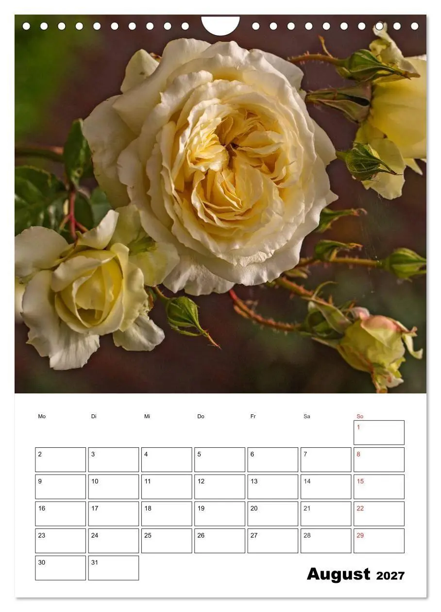 Bild: 9783569957978 | Zauberhafte Rosen (Wandkalender 2027 DIN A4 hoch), CALVENDO...