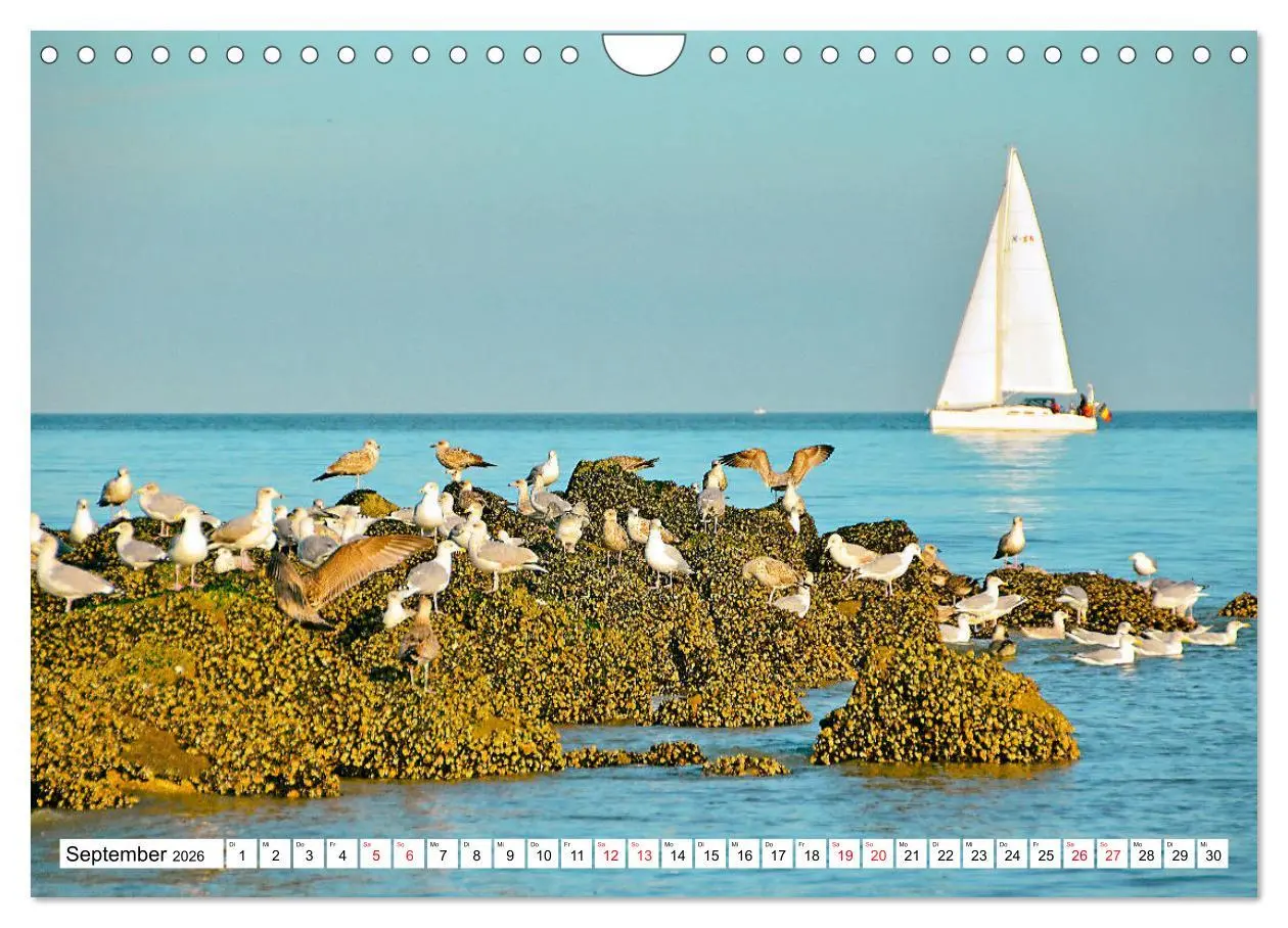 Bild: 9783457808078 | Blankenberge - belgischer Küstenort (Wandkalender 2026 DIN A4...