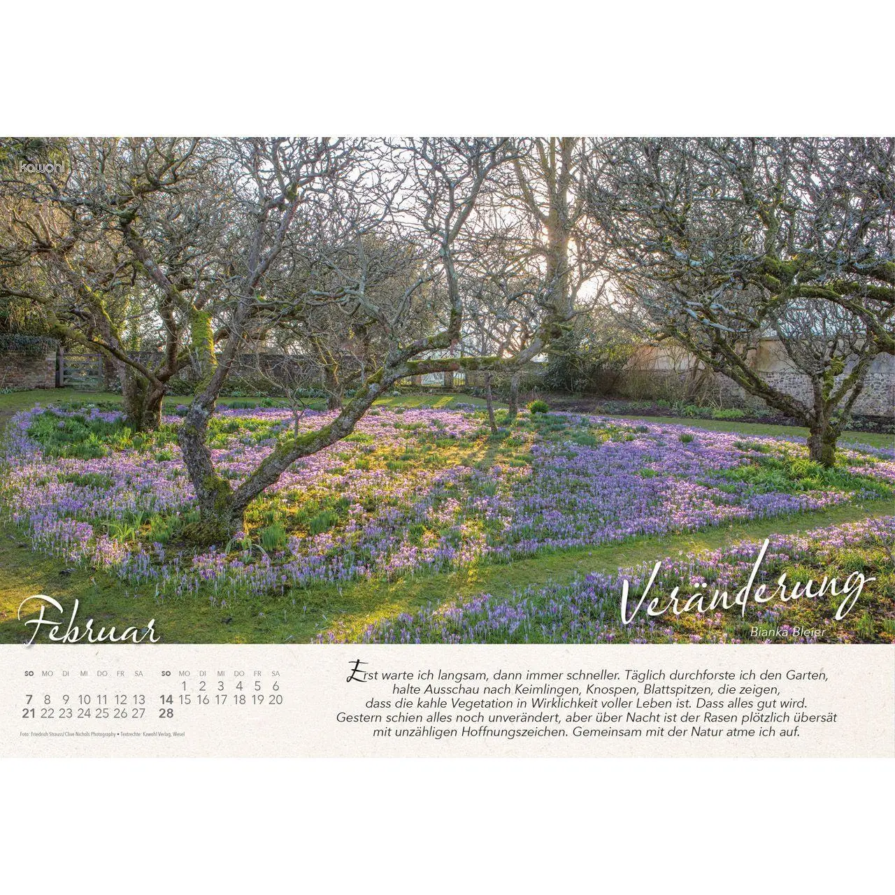 Bild: 9783754808078 | Wo Himmel und Erde sich berühren 2027 | Gartenkalender | Bianka Bleier