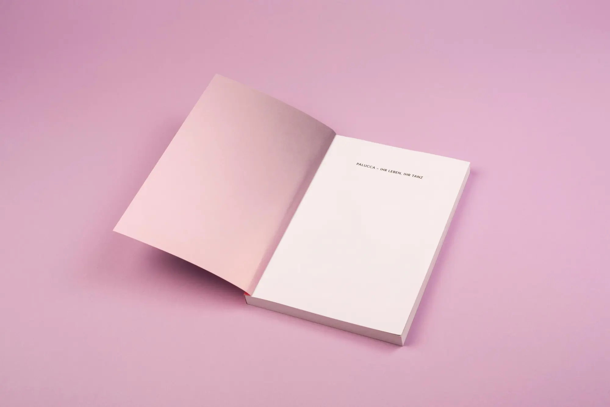 Bild: 9783894878078 | Palucca | Ihr Leben, ihr Tanz | Ralf Stabel | Taschenbuch | 172 S.