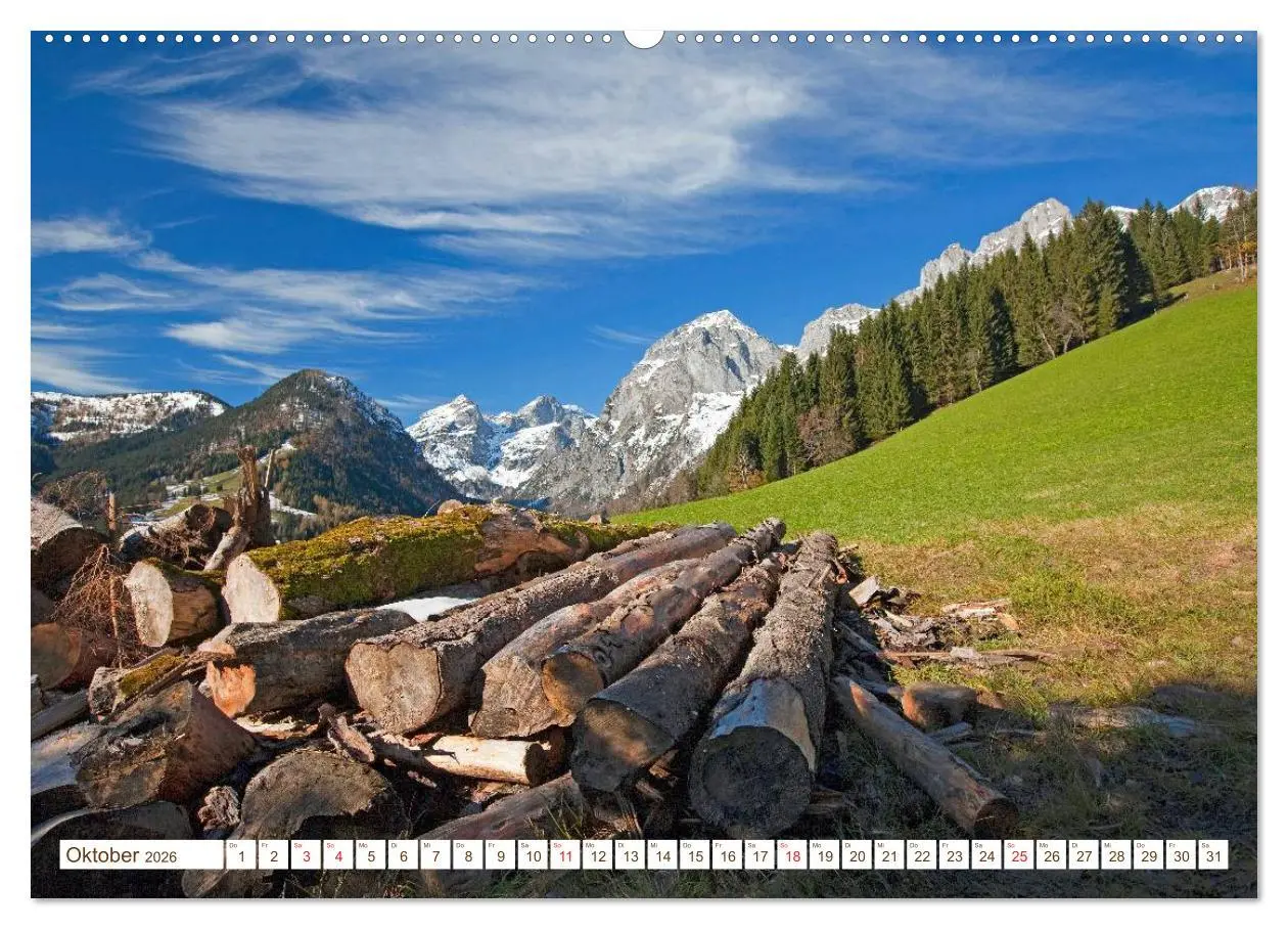 Bild: 9783457968178 | Alles aus Holz (Wandkalender 2026 DIN A2 quer), CALVENDO...