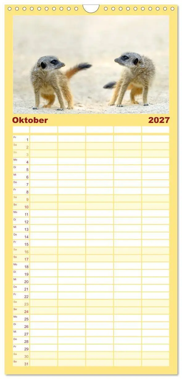 Bild: 9783594338278 | Familienplaner 2027 - Lustige Erdmännchen mit 5 Spalten...
