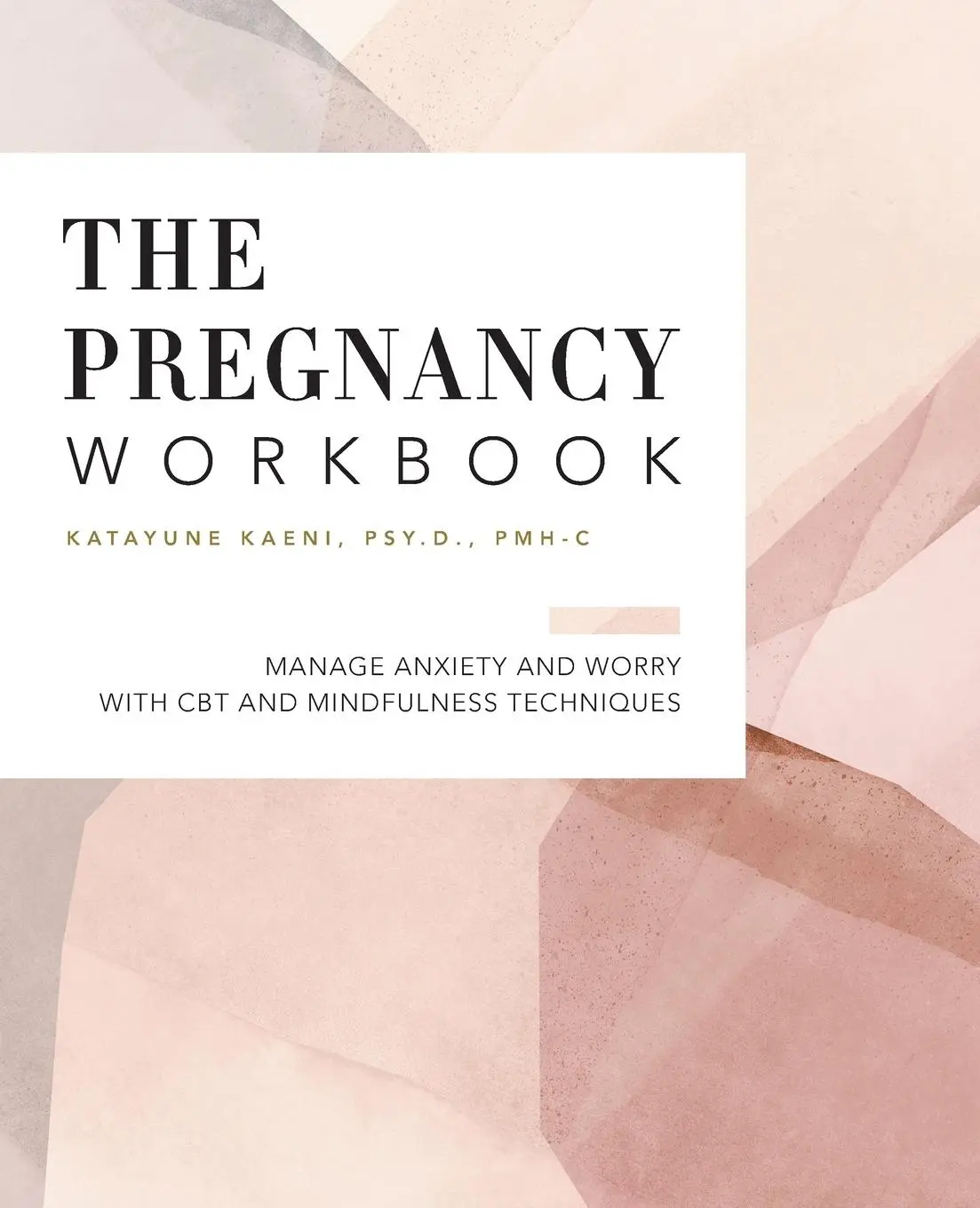 Cover: 9781648768378 | The Pregnancy Workbook | Katayune Kaeni | Taschenbuch | Englisch