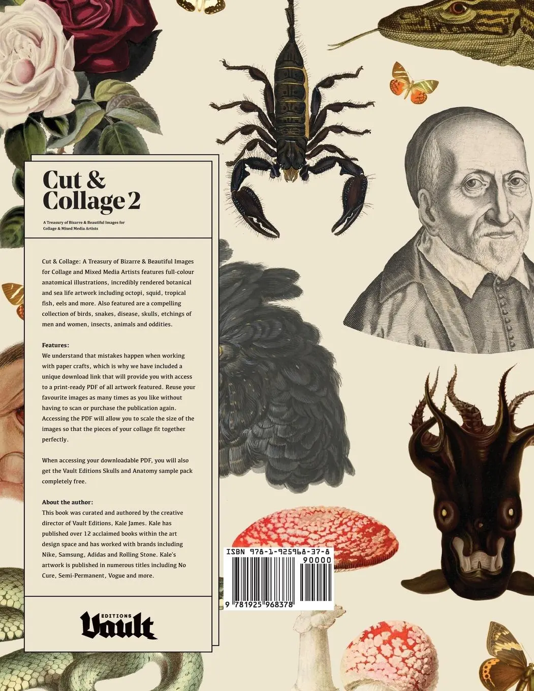 Rückseite: 9781925968378 | Cut and Collage A Treasury of Bizarre and Beautiful Images for...