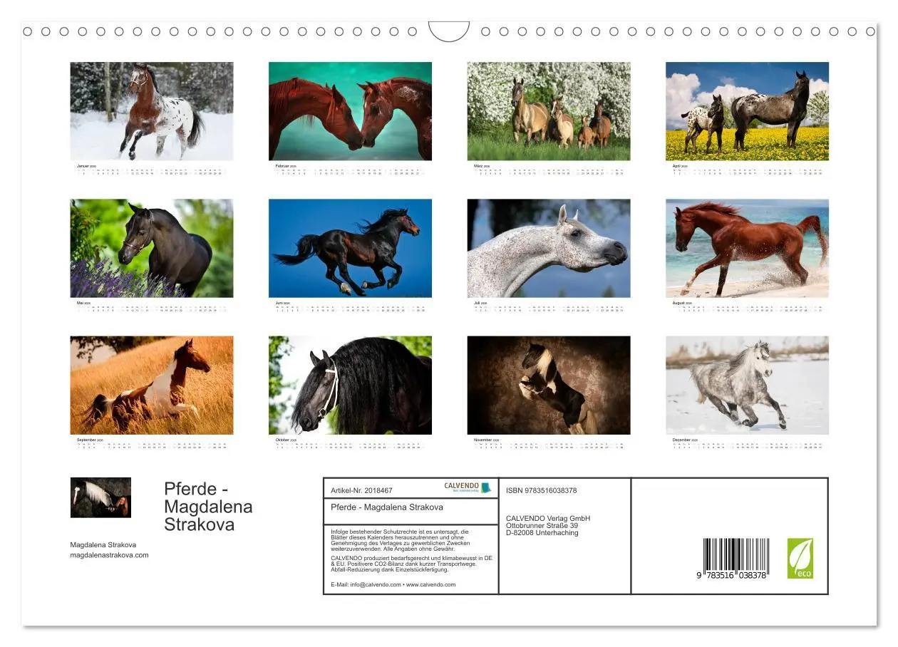 Bild: 9783516038378 | Pferde - Magdalena Strakova (Wandkalender 2026 DIN A3 quer),...