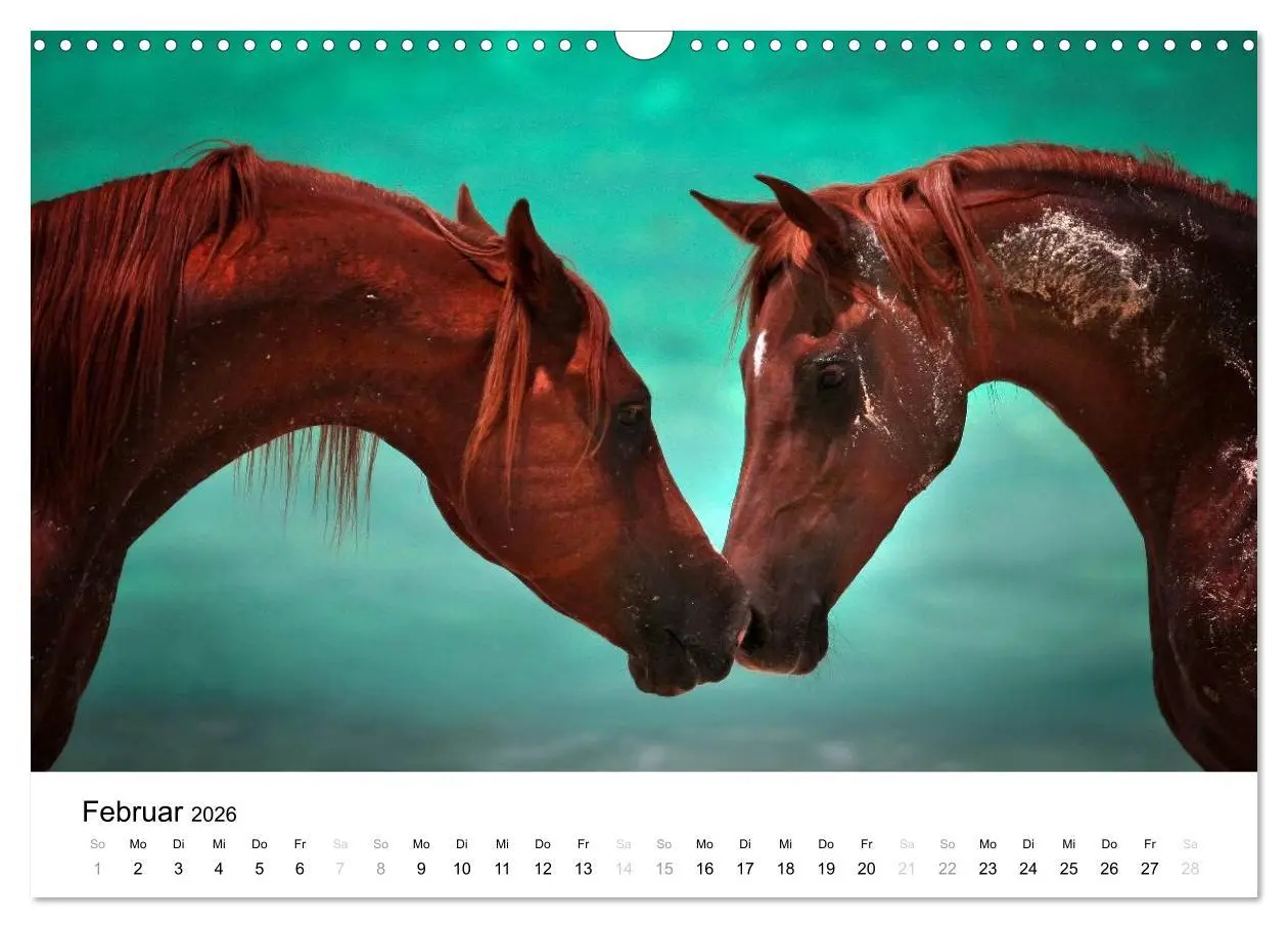 Bild: 9783516038378 | Pferde - Magdalena Strakova (Wandkalender 2026 DIN A3 quer),...