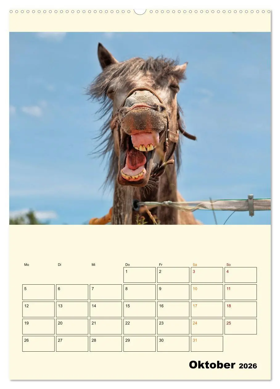 Bild: 9783516348378 | Lustig verrückt - der Tierkalender (Wandkalender 2026 DIN A2 hoch),...