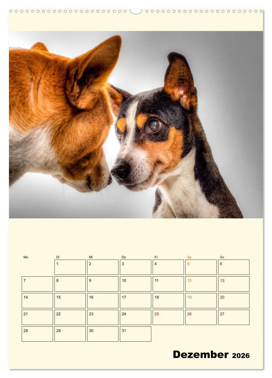 Bild: 9783516348378 | Lustig verrückt - der Tierkalender (Wandkalender 2026 DIN A2 hoch),...