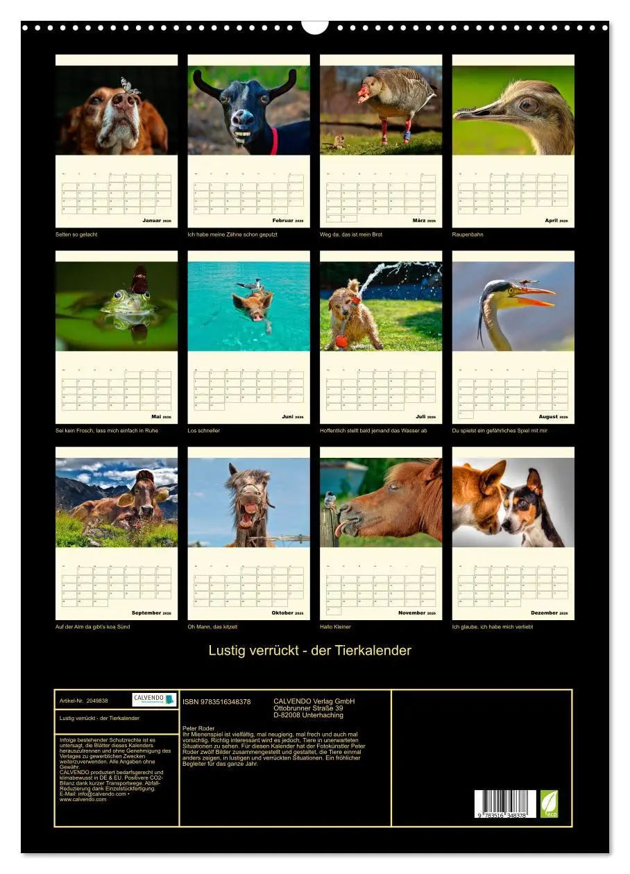 Bild: 9783516348378 | Lustig verrückt - der Tierkalender (Wandkalender 2026 DIN A2 hoch),...