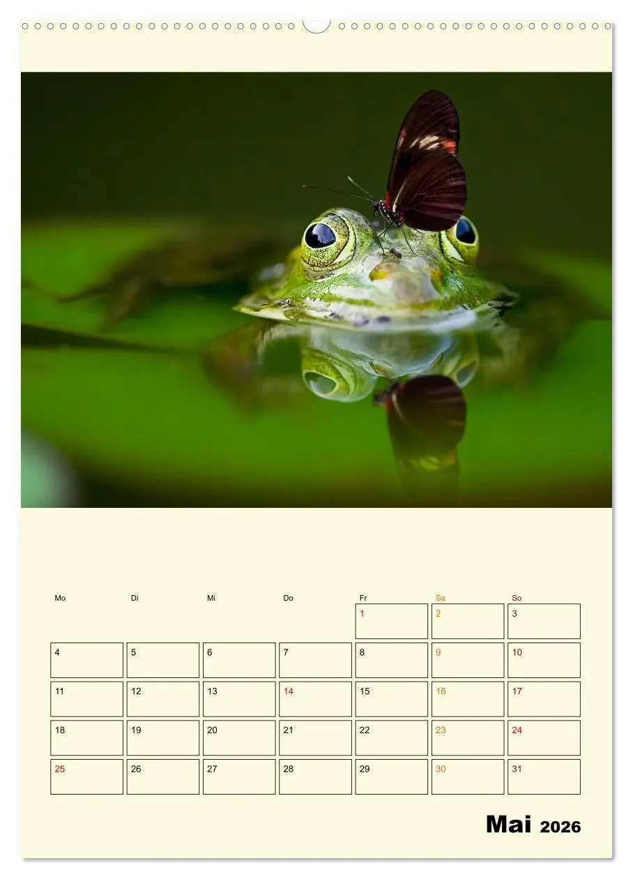 Bild: 9783516348378 | Lustig verrückt - der Tierkalender (Wandkalender 2026 DIN A2 hoch),...