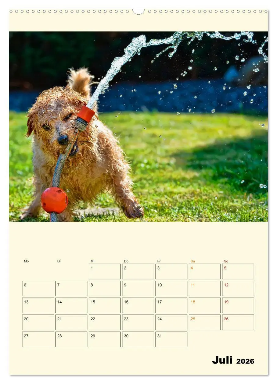 Bild: 9783516348378 | Lustig verrückt - der Tierkalender (Wandkalender 2026 DIN A2 hoch),...
