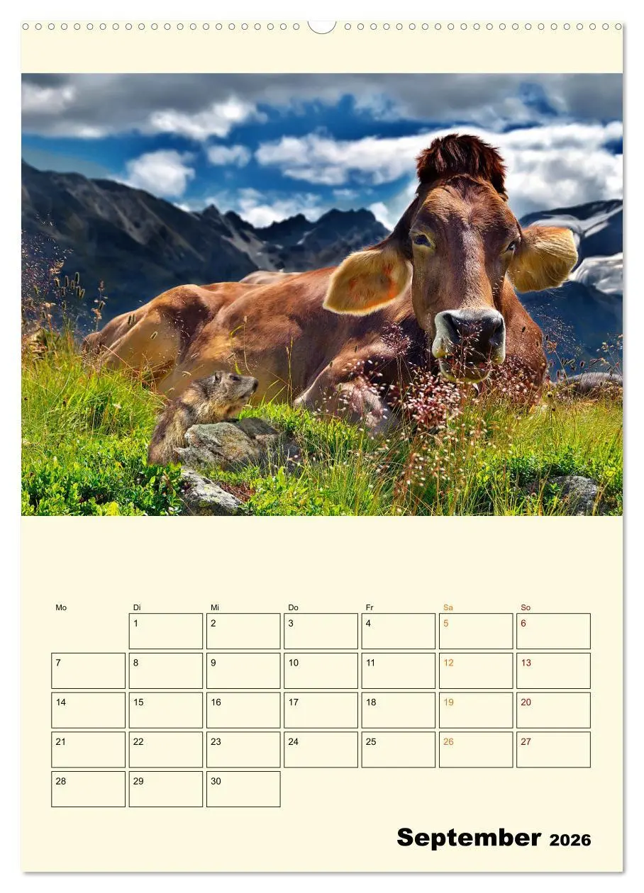 Bild: 9783516348378 | Lustig verrückt - der Tierkalender (Wandkalender 2026 DIN A2 hoch),...