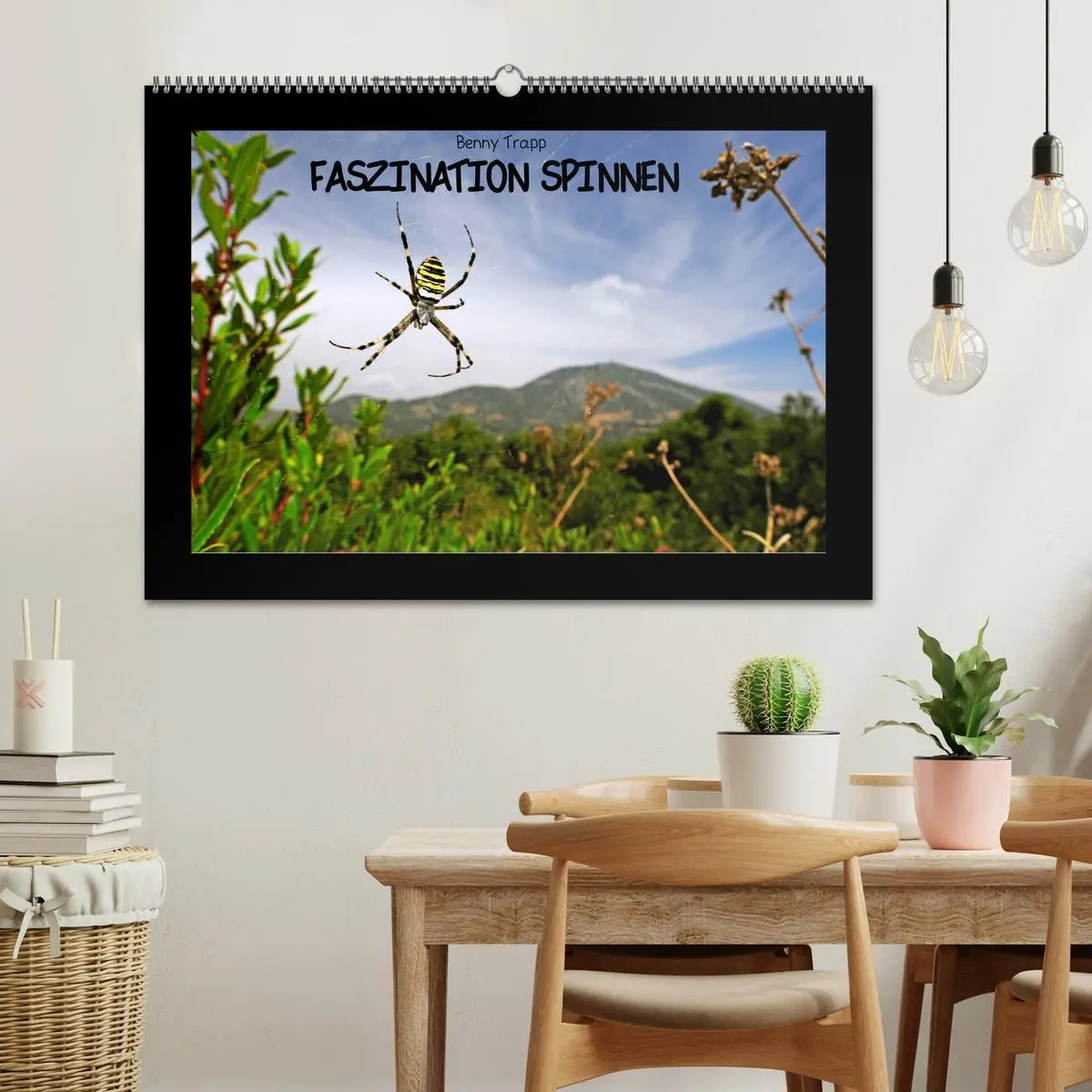 Bild: 9783457928578 | Faszination Spinnen (Wandkalender 2026 DIN A2 quer), CALVENDO...