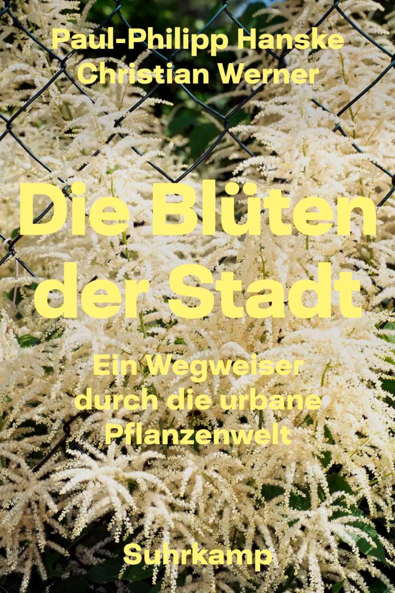 Cover: 9783518468678 | Die Blüten der Stadt | Ein Wegweiser durch die urbane Pflanzenwelt