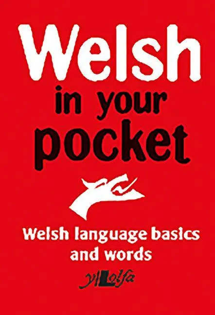 Cover: 9781847718778 | Welsh in Your Pocket | Taschenbuch | in your pocket | Englisch | 2014