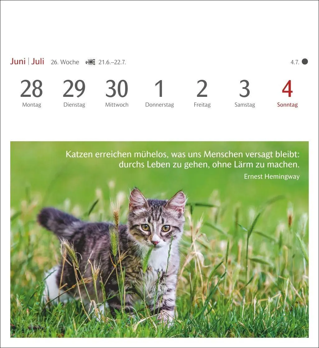 Bild: 9783840038778 | Momente des Glücks Postkartenkalender 2027 - Wochenkalender mit...
