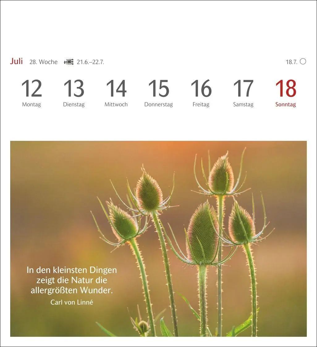 Bild: 9783840038778 | Momente des Glücks Postkartenkalender 2027 - Wochenkalender mit...