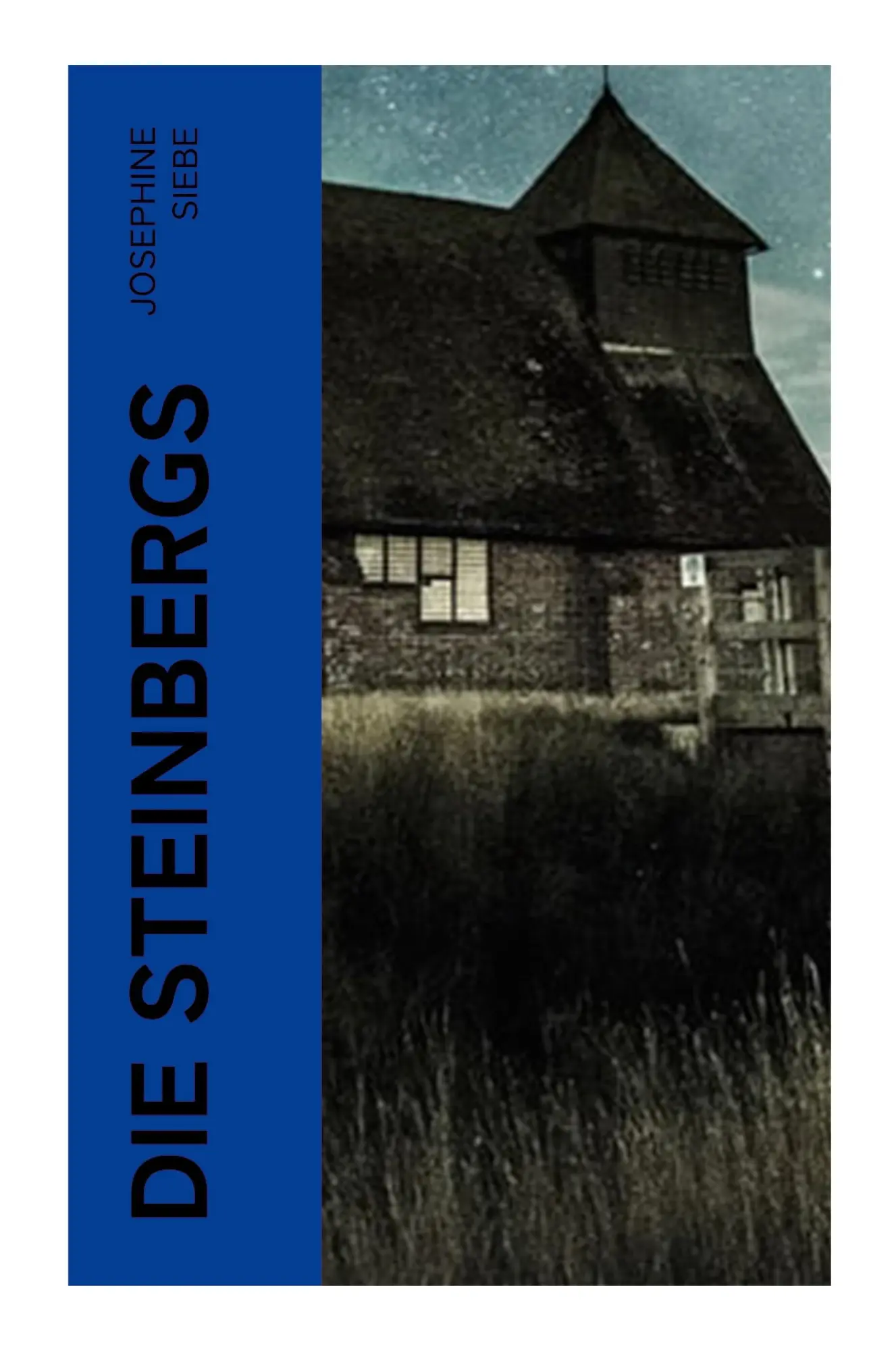 Cover: 9788027368778 | Die Steinbergs | Josephine Siebe | Taschenbuch | 96 S. | Deutsch