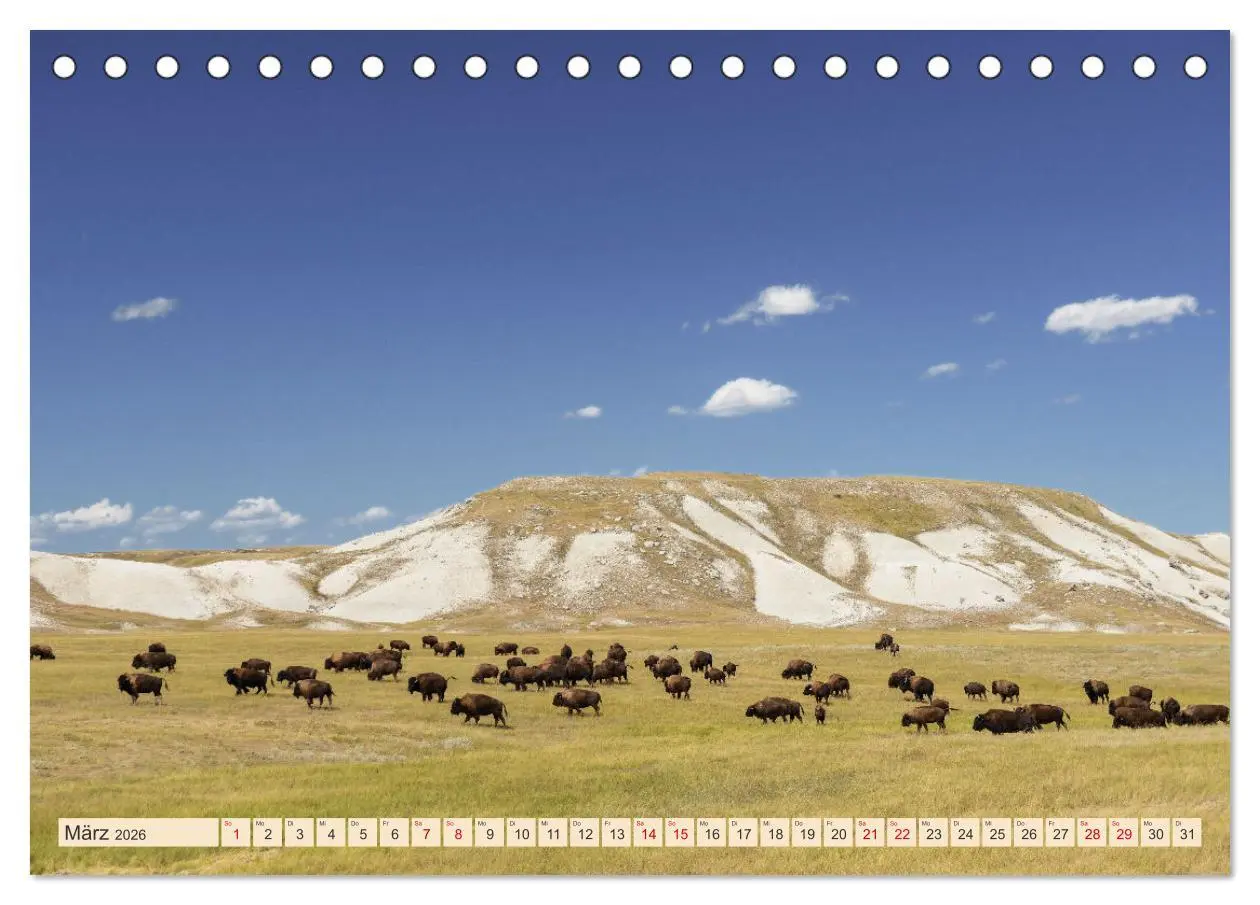 Bild: 9783457378878 | Sioux Im Lande von Sitting Bull (Tischkalender 2026 DIN A5 quer),...