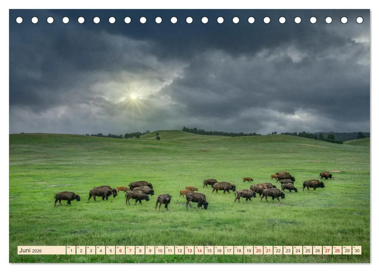 Bild: 9783457378878 | Sioux Im Lande von Sitting Bull (Tischkalender 2026 DIN A5 quer),...