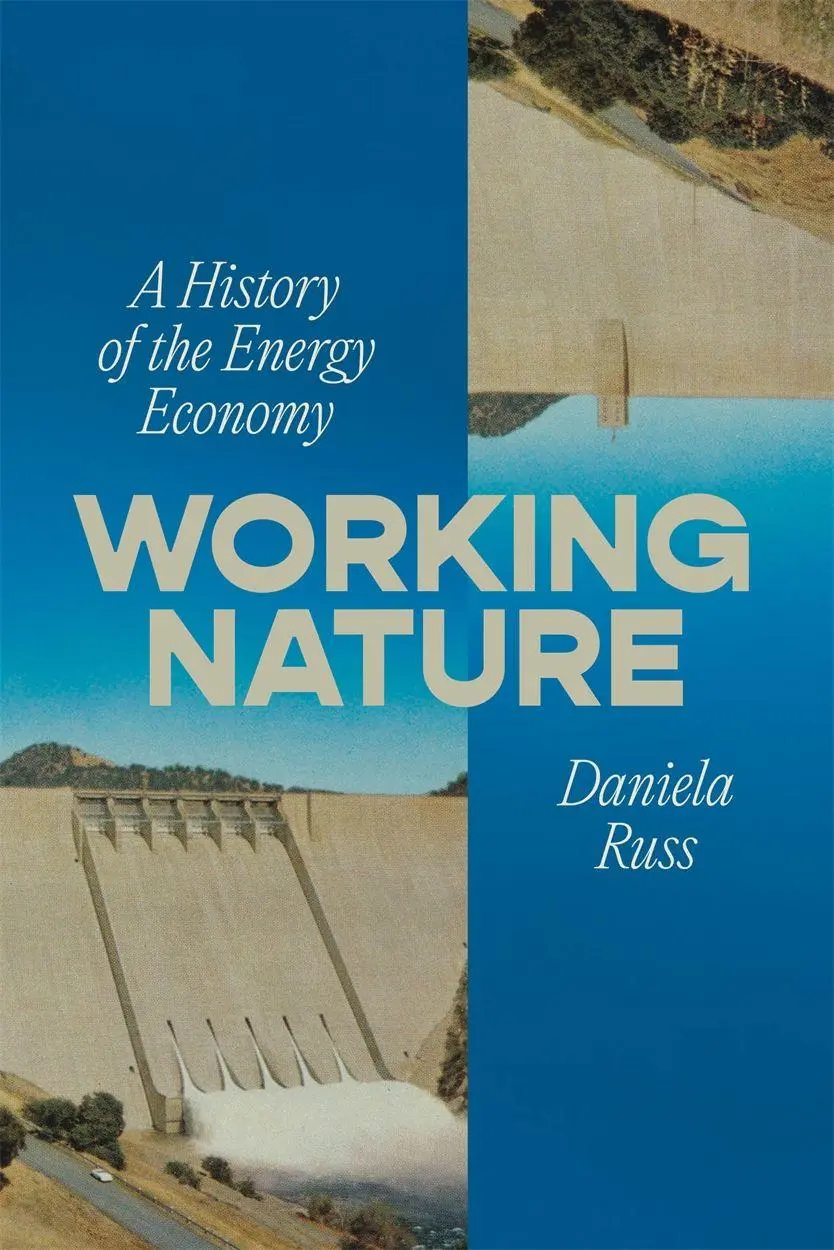 Cover: 9781804298978 | Working Nature | A History of the Energy Economy | Daniela Russ | Buch