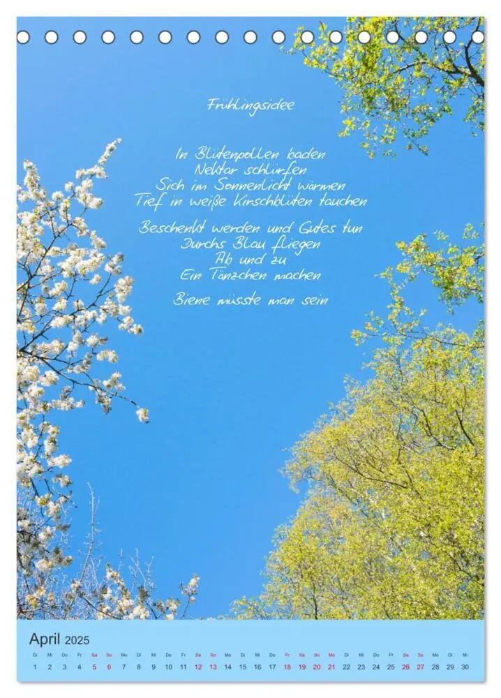 Bild: 9783435929078 | Himmlische Tage (Tischkalender 2025 DIN A5 hoch), CALVENDO...