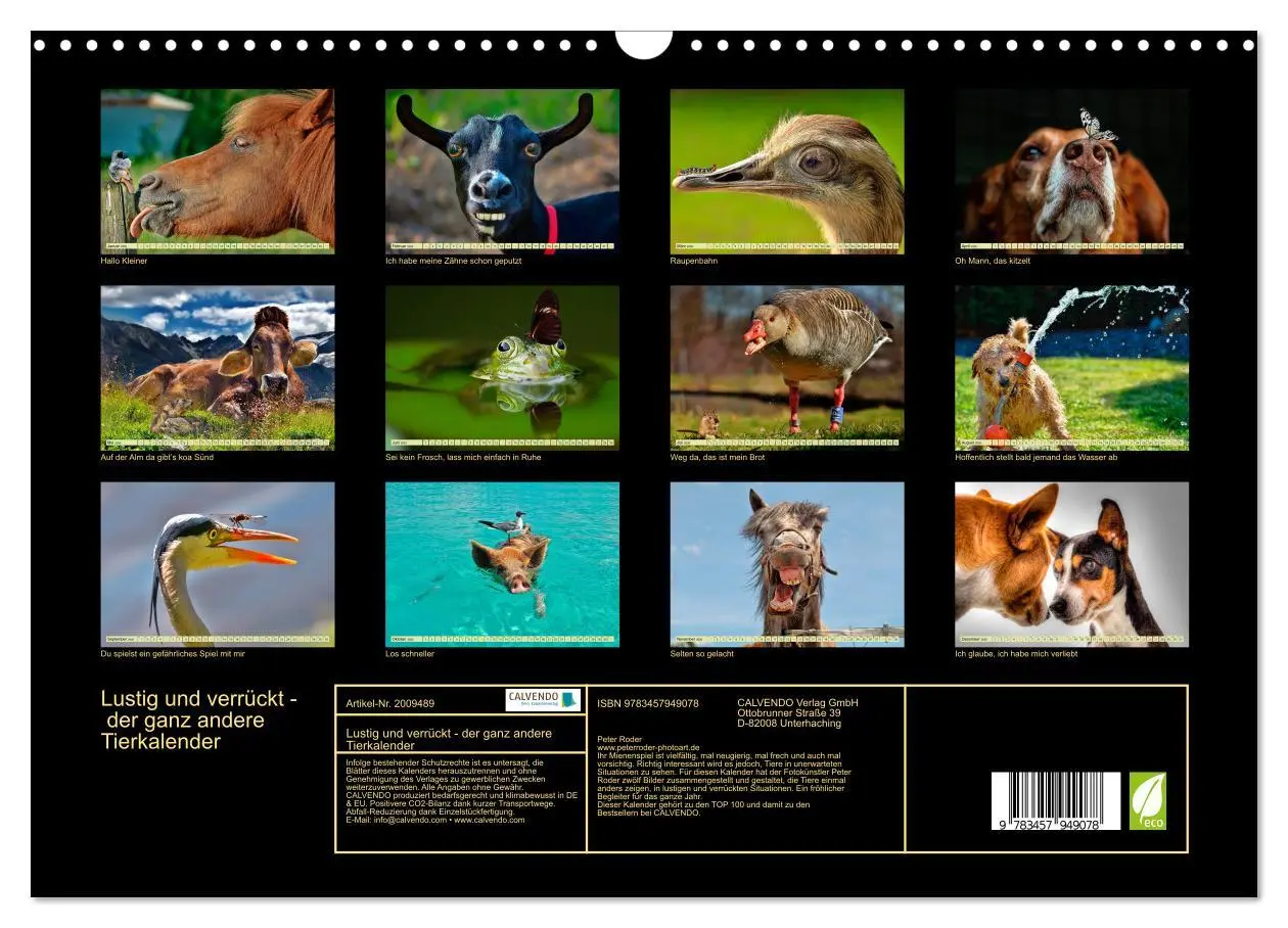 Bild: 9783457949078 | Lustig und verrückt - der ganz andere Tierkalender (Wandkalender...