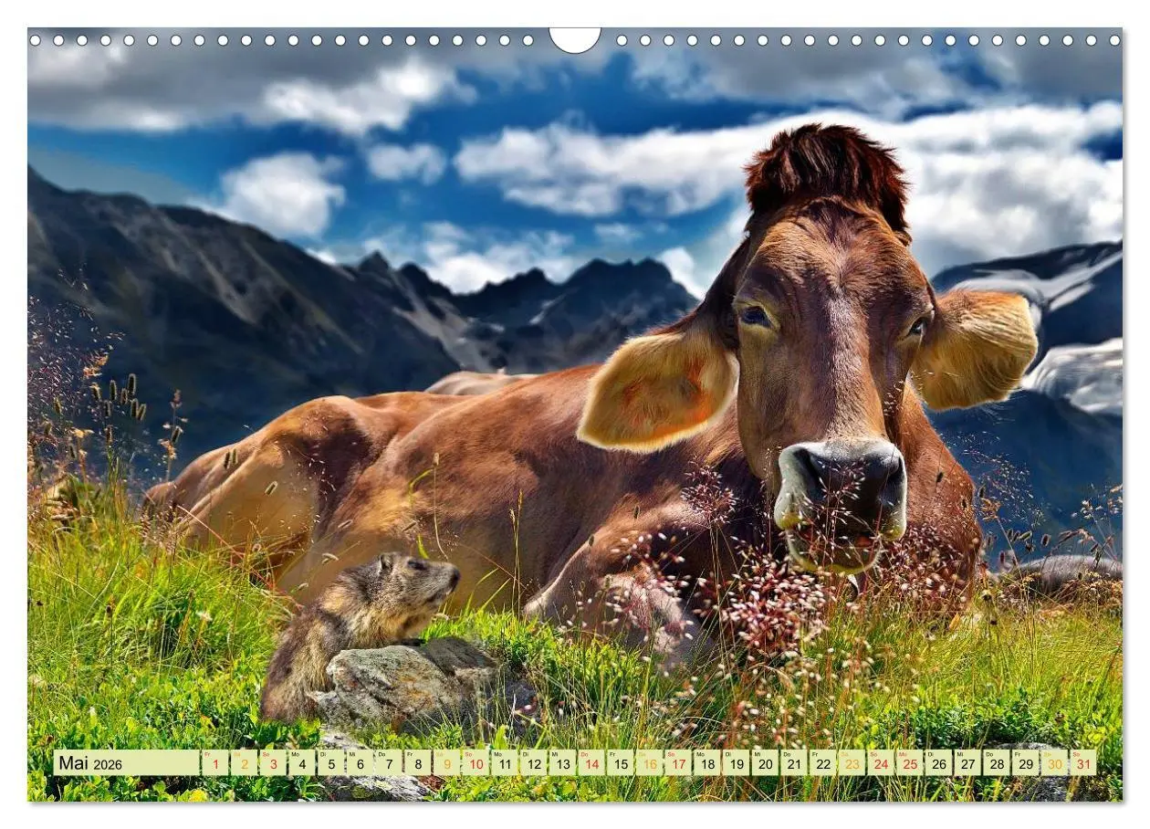 Bild: 9783457949078 | Lustig und verrückt - der ganz andere Tierkalender (Wandkalender...