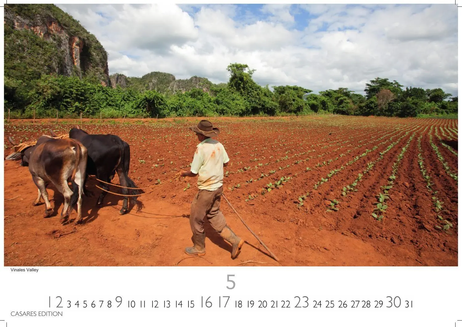 Bild: 9781835249178 | Cuba Kalender 2027 - Wandkalender Fotokalender Karibik 35x50cm -...