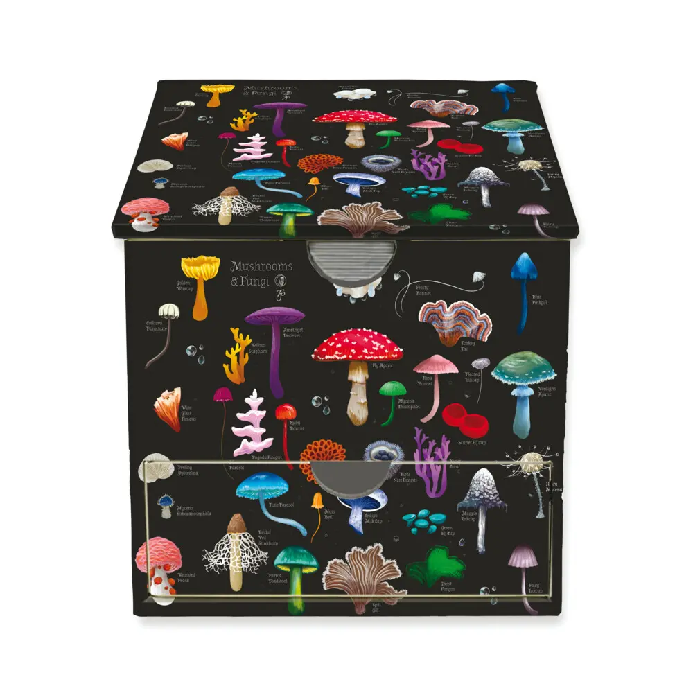 Memo Cube: Anna Stead, Champignons und Pilze