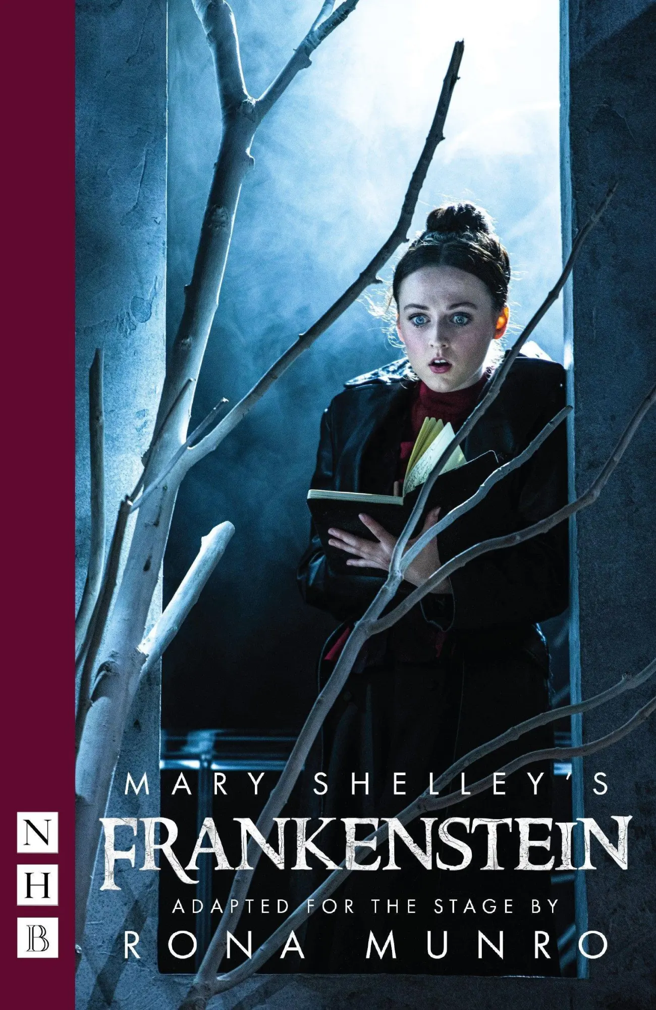 Cover: 9781848429178 | Mary Shelley's Frankenstein | Rona Munro | Taschenbuch | Englisch