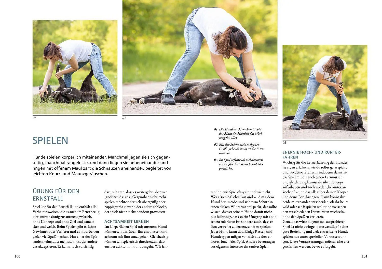 Bild: 9783440179178 | Hunde fühlen und anleiten | Die Magie der Berührung | Maren Grote