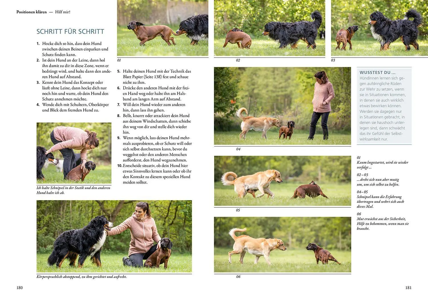 Bild: 9783440179178 | Hunde fühlen und anleiten | Die Magie der Berührung | Maren Grote