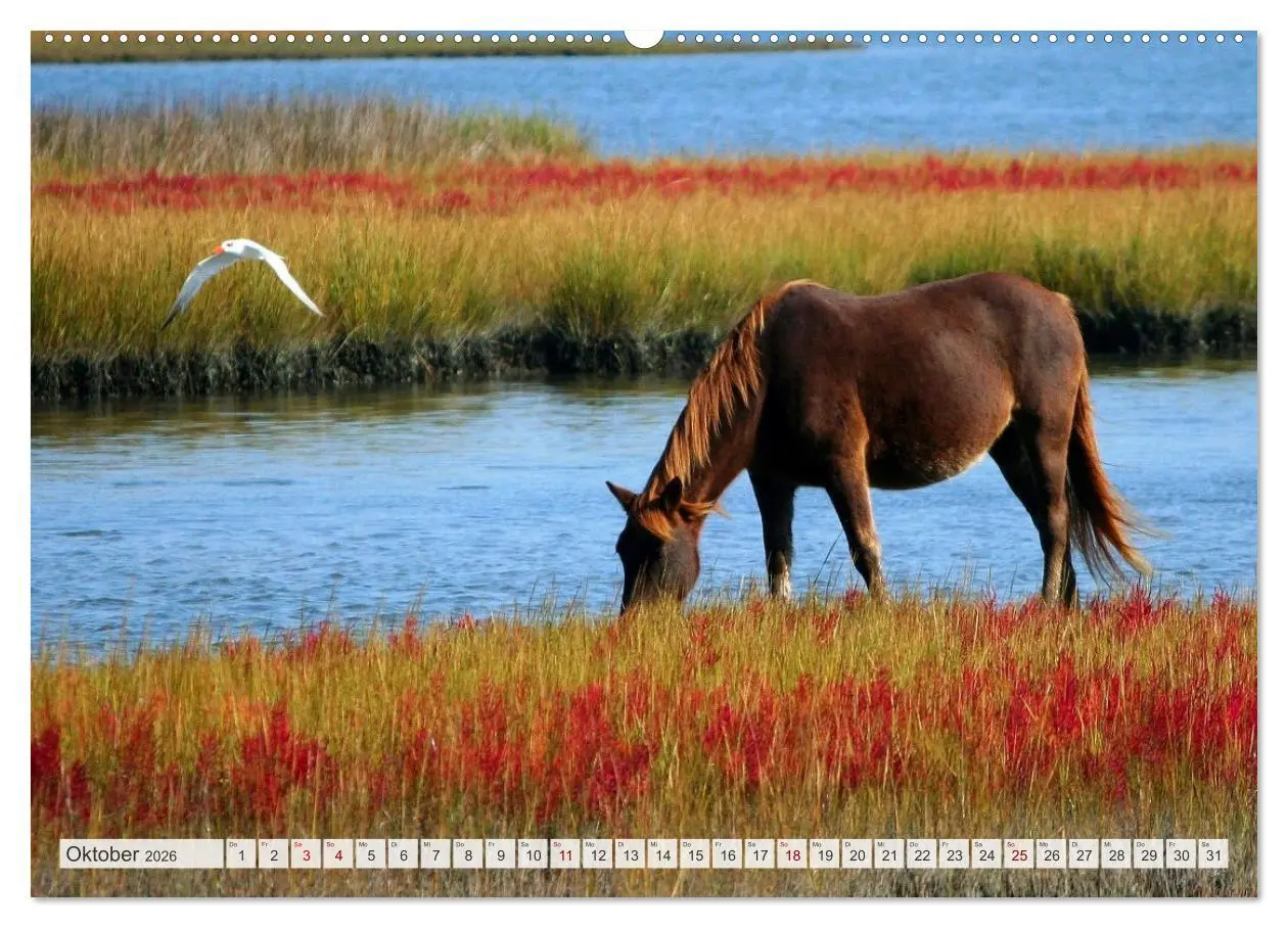Bild: 9783457559178 | Masuren - Polens Seen-Paradies (Wandkalender 2026 DIN A2 quer),...