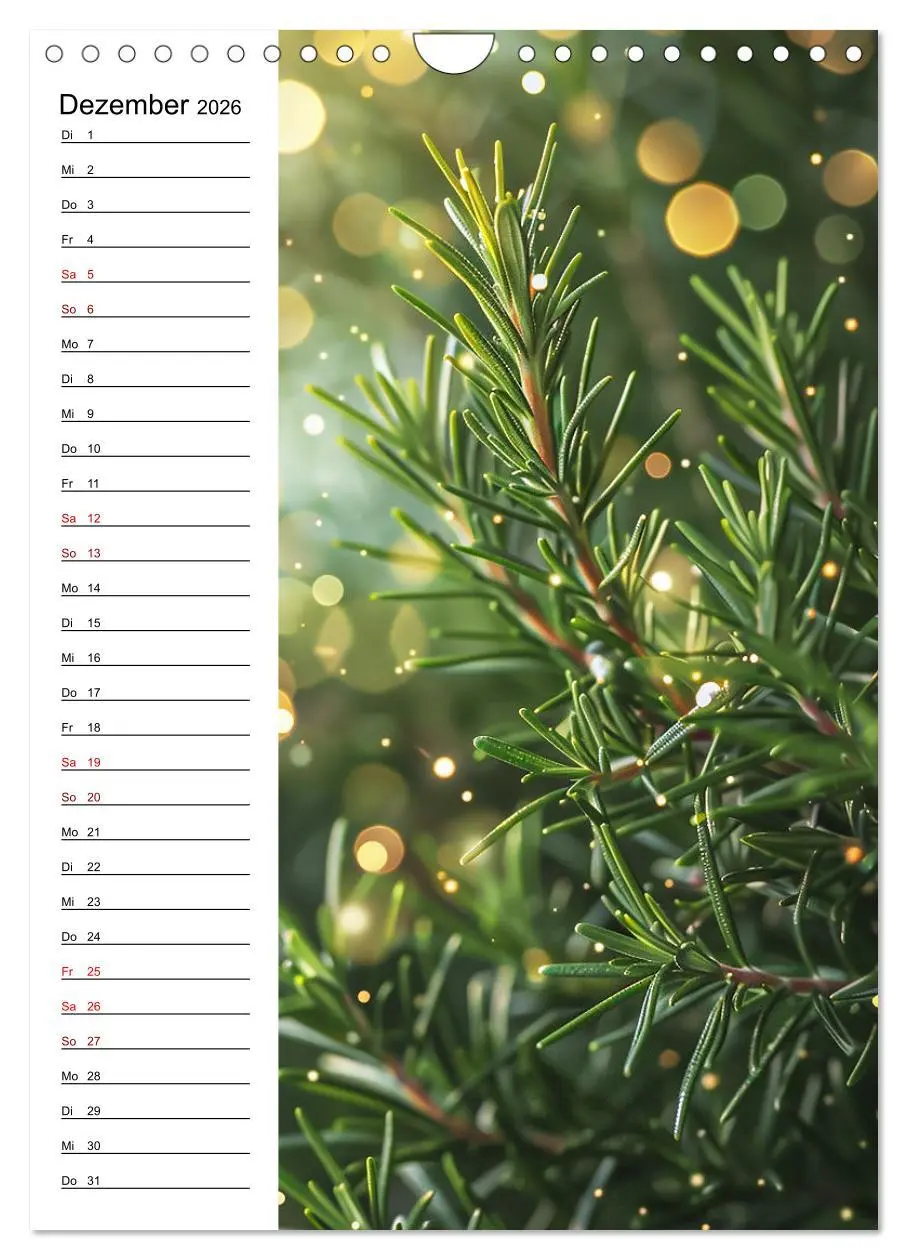 Bild: 9783516259278 | Kräuterfrische (Wandkalender 2026 DIN A4 hoch), CALVENDO...