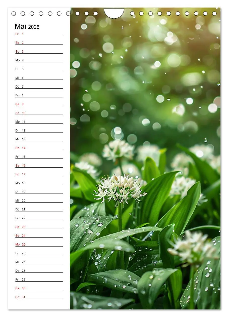 Bild: 9783516259278 | Kräuterfrische (Wandkalender 2026 DIN A4 hoch), CALVENDO...