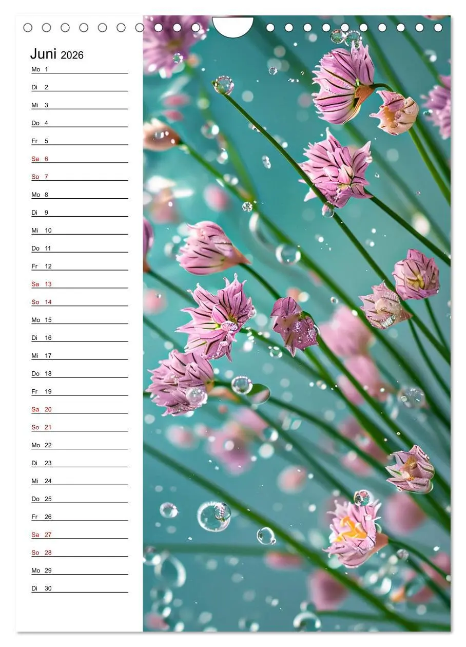 Bild: 9783516259278 | Kräuterfrische (Wandkalender 2026 DIN A4 hoch), CALVENDO...