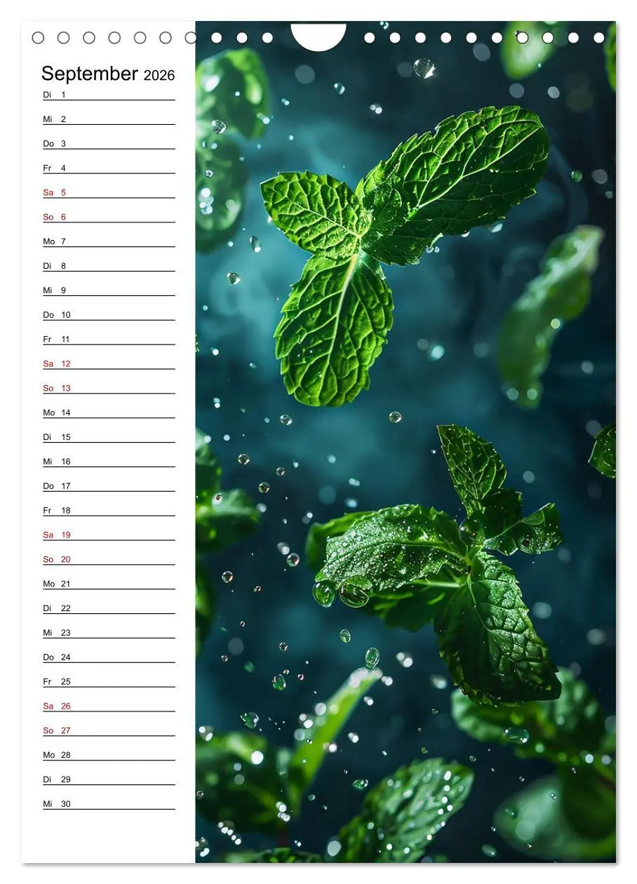 Bild: 9783516259278 | Kräuterfrische (Wandkalender 2026 DIN A4 hoch), CALVENDO...