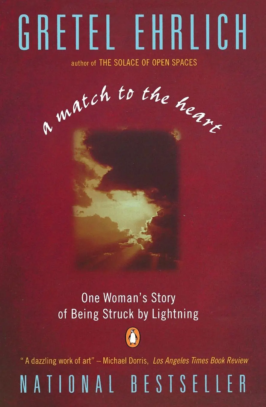 Cover: 9780140179378 | A Match to the Heart | One Woman's Story of Being Struck By Lightning