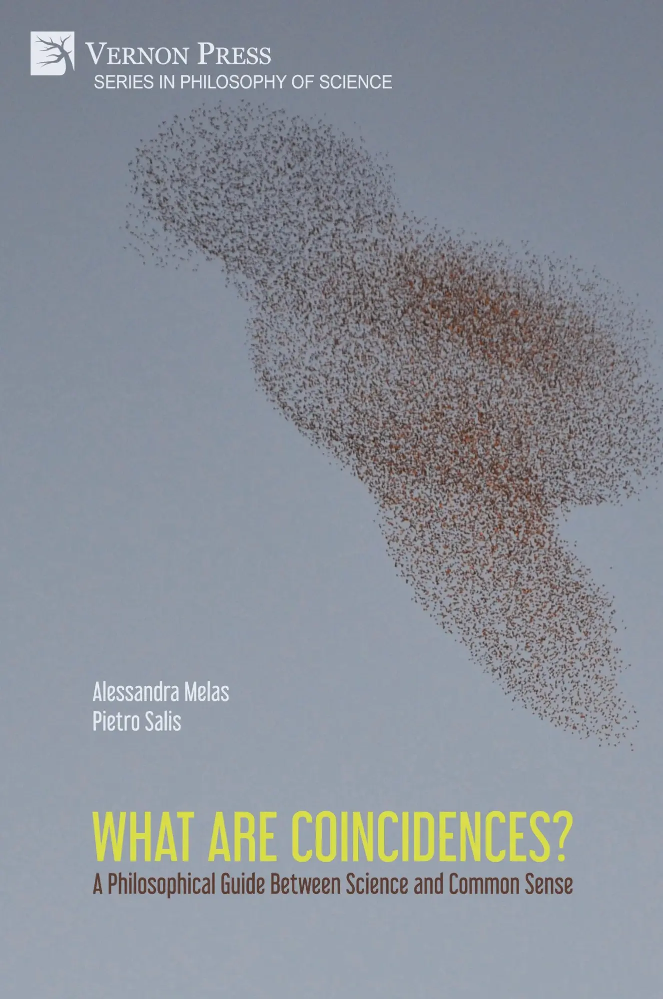 Cover: 9781648899478 | What are Coincidences? A Philosophical Guide Between Science and...