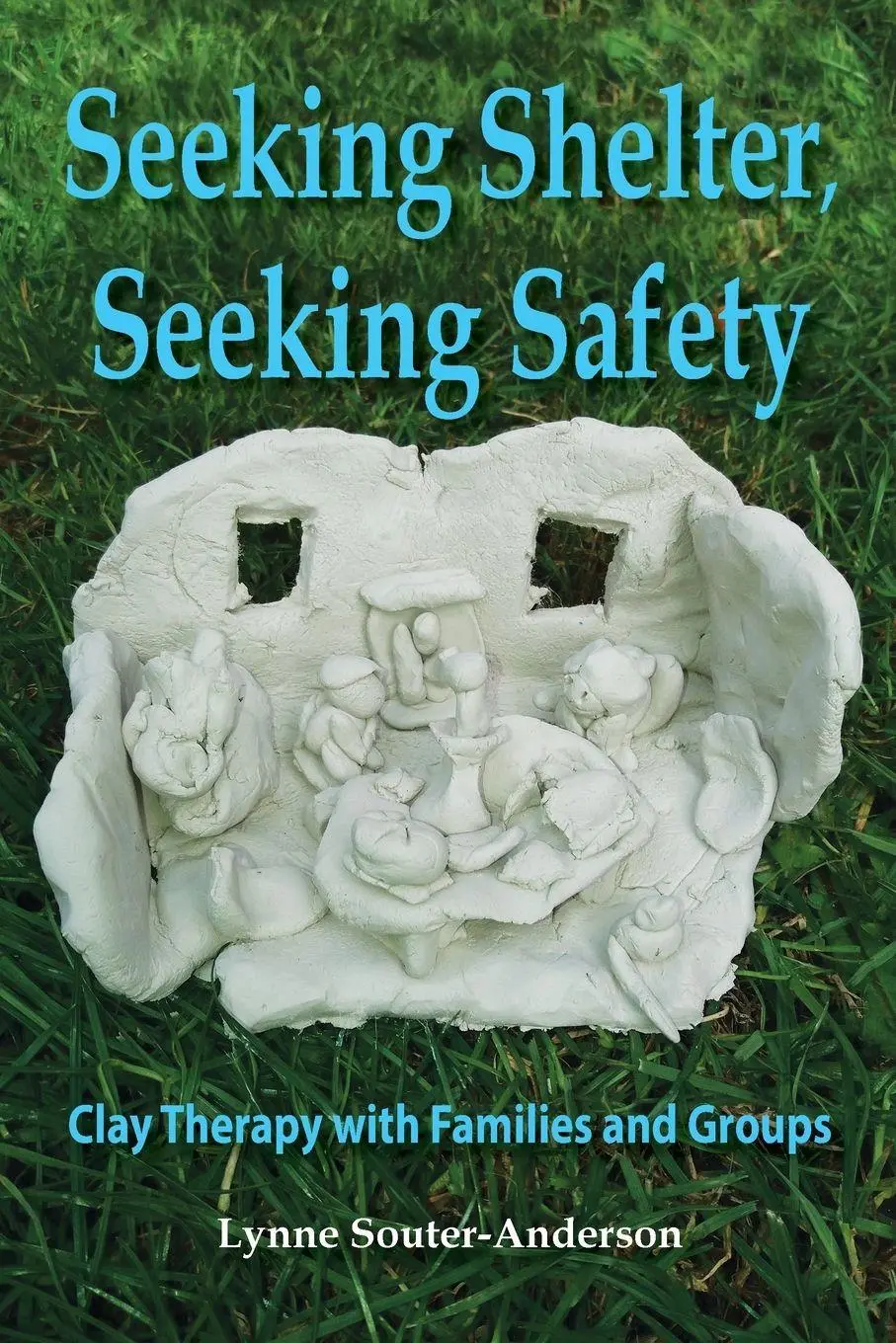 Cover: 9781906289478 | Seeking Shelter, Seeking Safety | Lynne Souter-Anderson | Taschenbuch