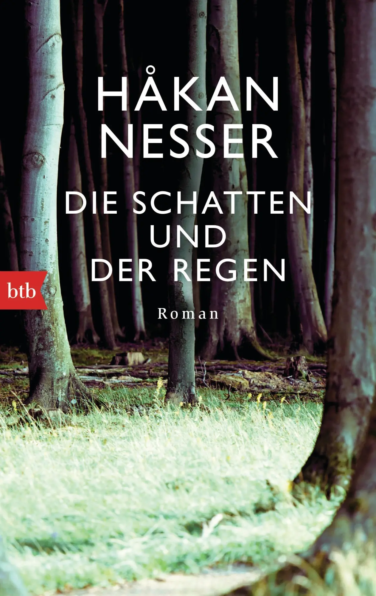 Cover: 9783442749478 | Die Schatten und der Regen | Håkan Nesser | Taschenbuch | btb | 384 S.