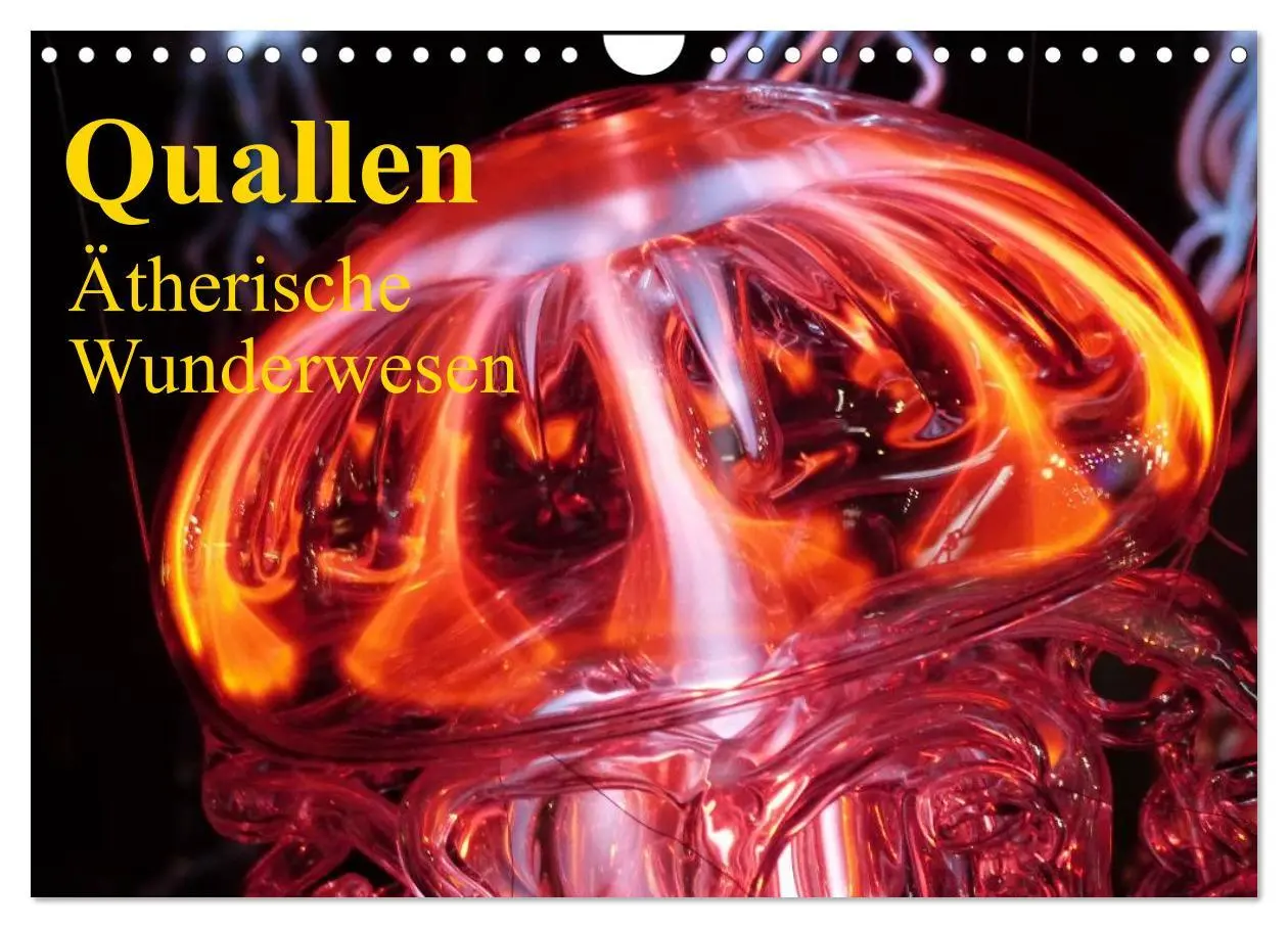 Cover: 9783516239478 | Quallen ¿ Ätherische Wunderwesen (Wandkalender 2026 DIN A4 quer),...