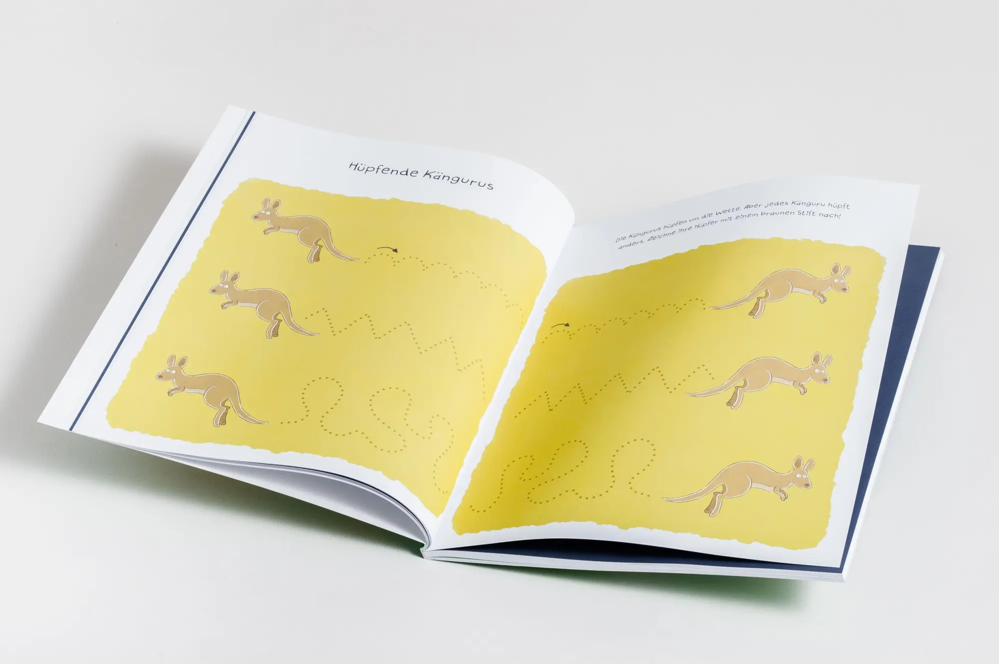 Bild: 9783809449478 | Mein kunterbuntes Buch der schönsten Schwungübungen....