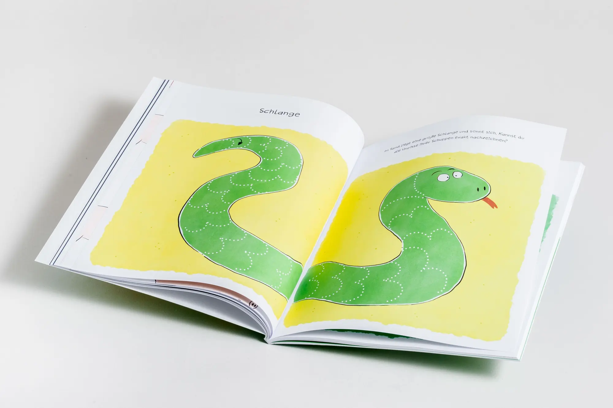 Bild: 9783809449478 | Mein kunterbuntes Buch der schönsten Schwungübungen....