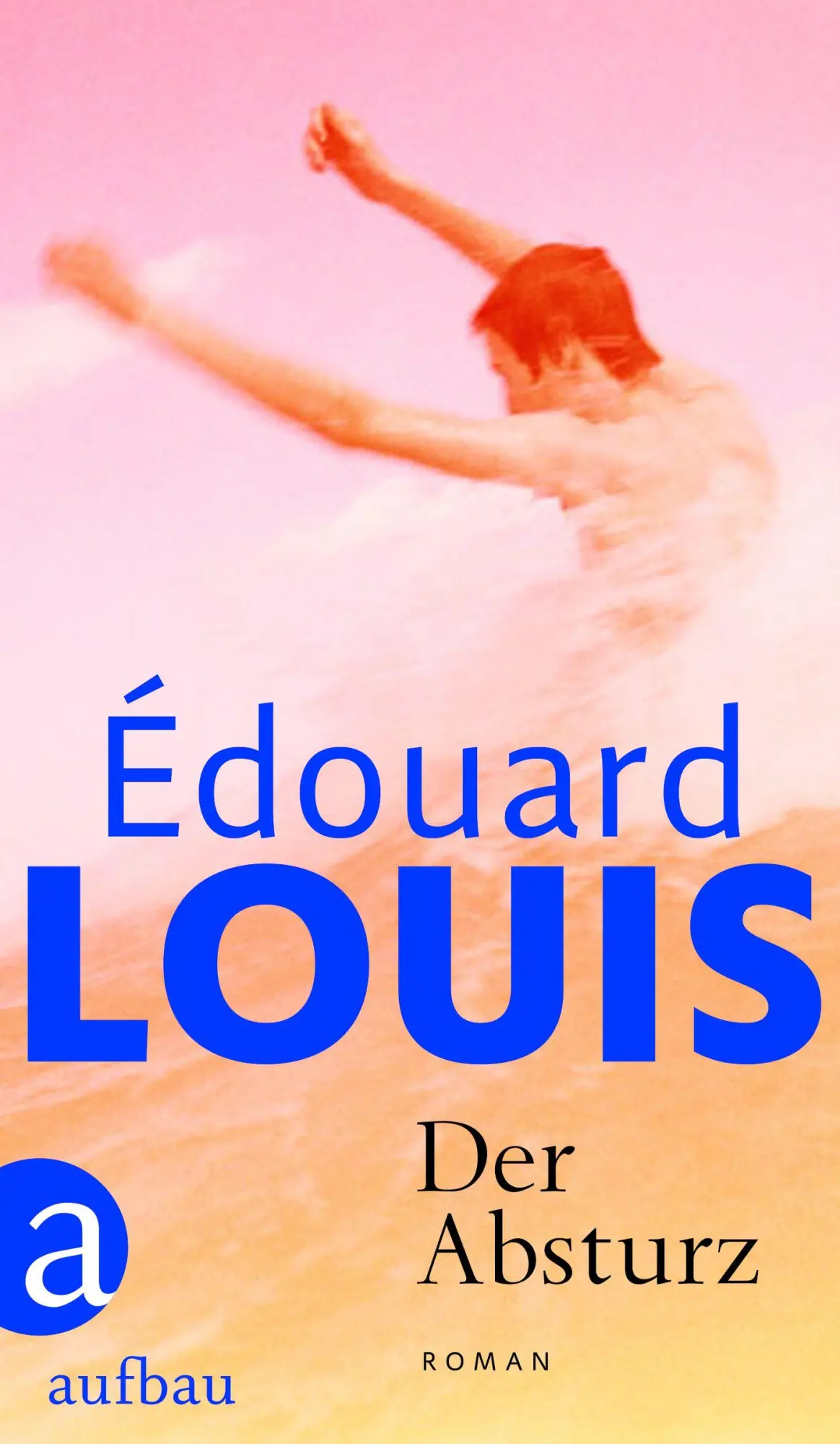 Cover: 9783351039578 | Der Absturz | Roman | Édouard Louis | Buch | 222 S. | Deutsch | 2025