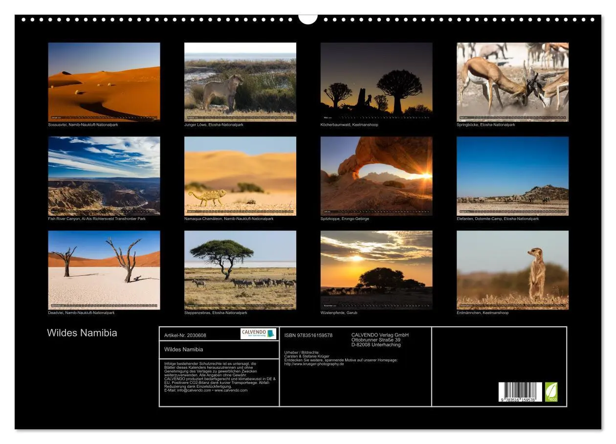 Bild: 9783516159578 | Wildes Namibia (Wandkalender 2026 DIN A2 quer), CALVENDO...