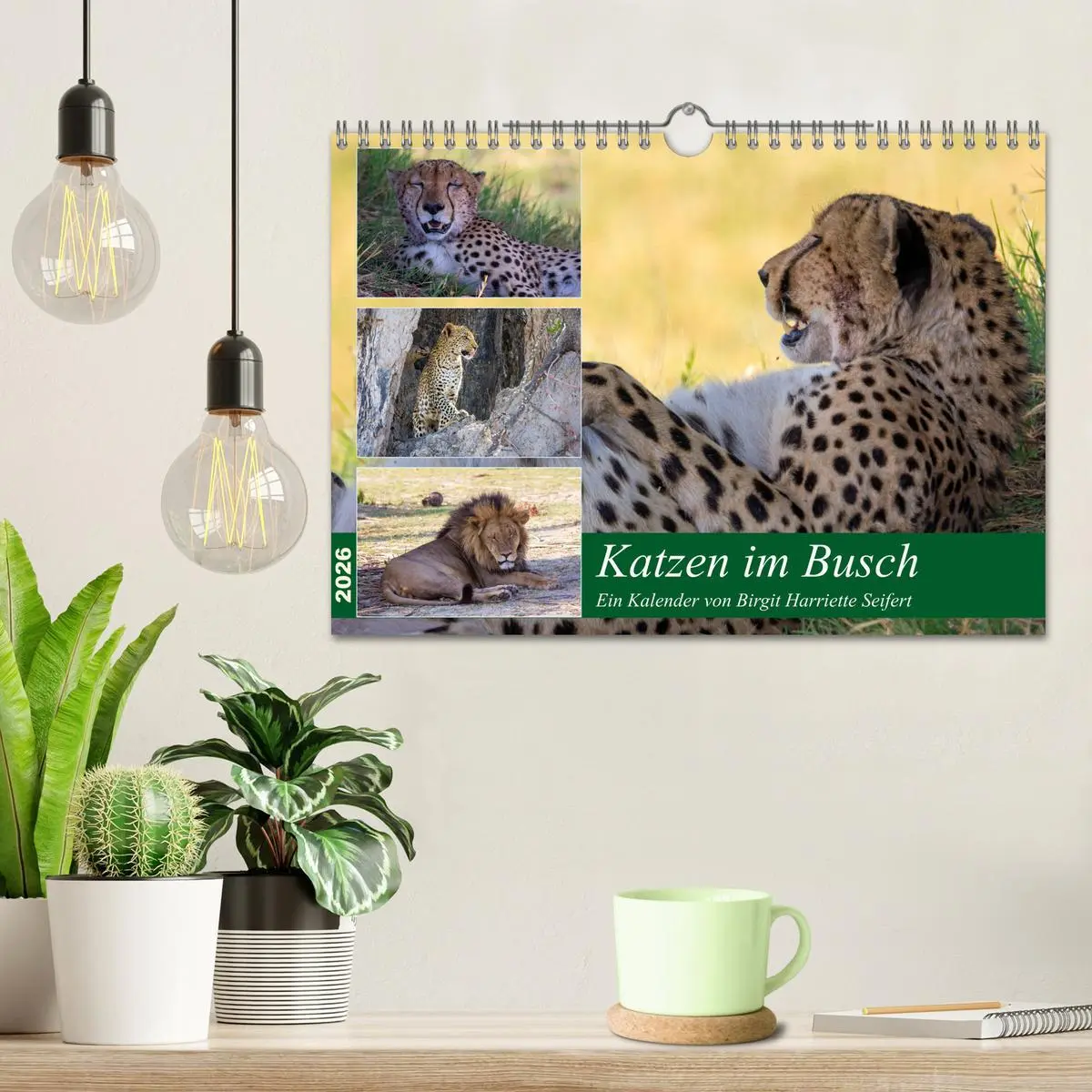 Bild: 9783457739778 | Katzen im Busch (Wandkalender 2026 DIN A4 quer), CALVENDO...