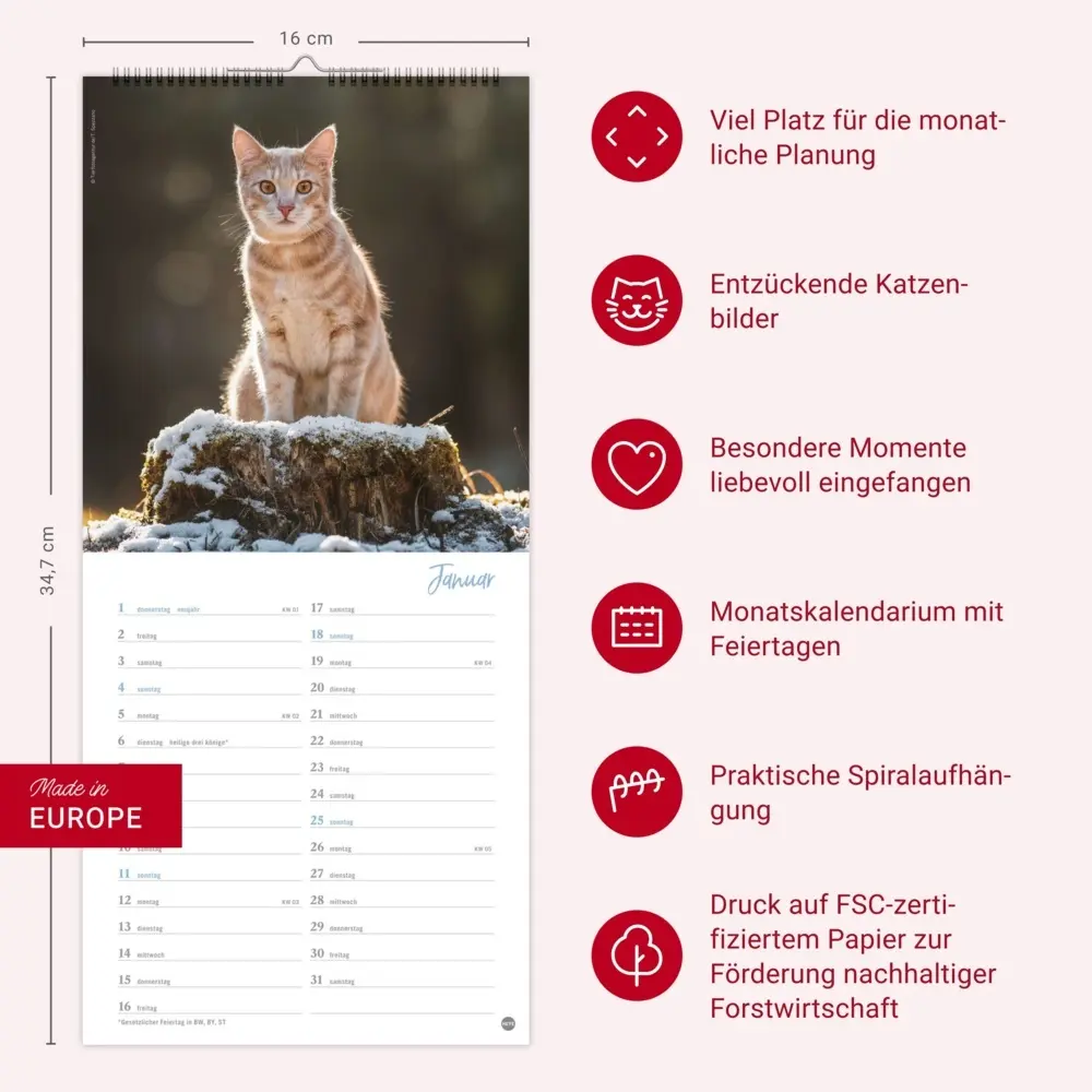 Bild: 9783756409778 | Katzen slim - Auf sanften Pfoten Kalender 2026 | Heye | Kalender